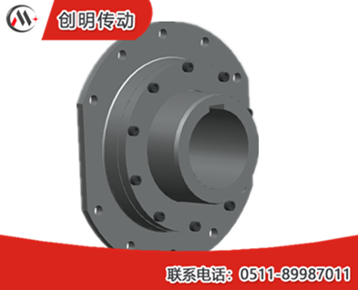 WJA型圓柱形軸孔聯(lián)接球面滾子聯(lián)軸器 